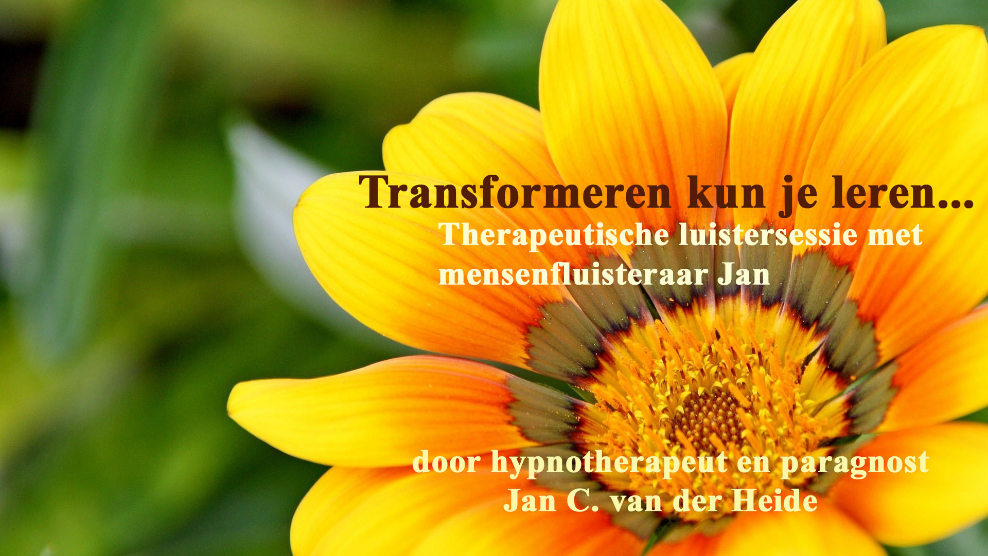Transformeren kun je leren... - Jan C van der Heide