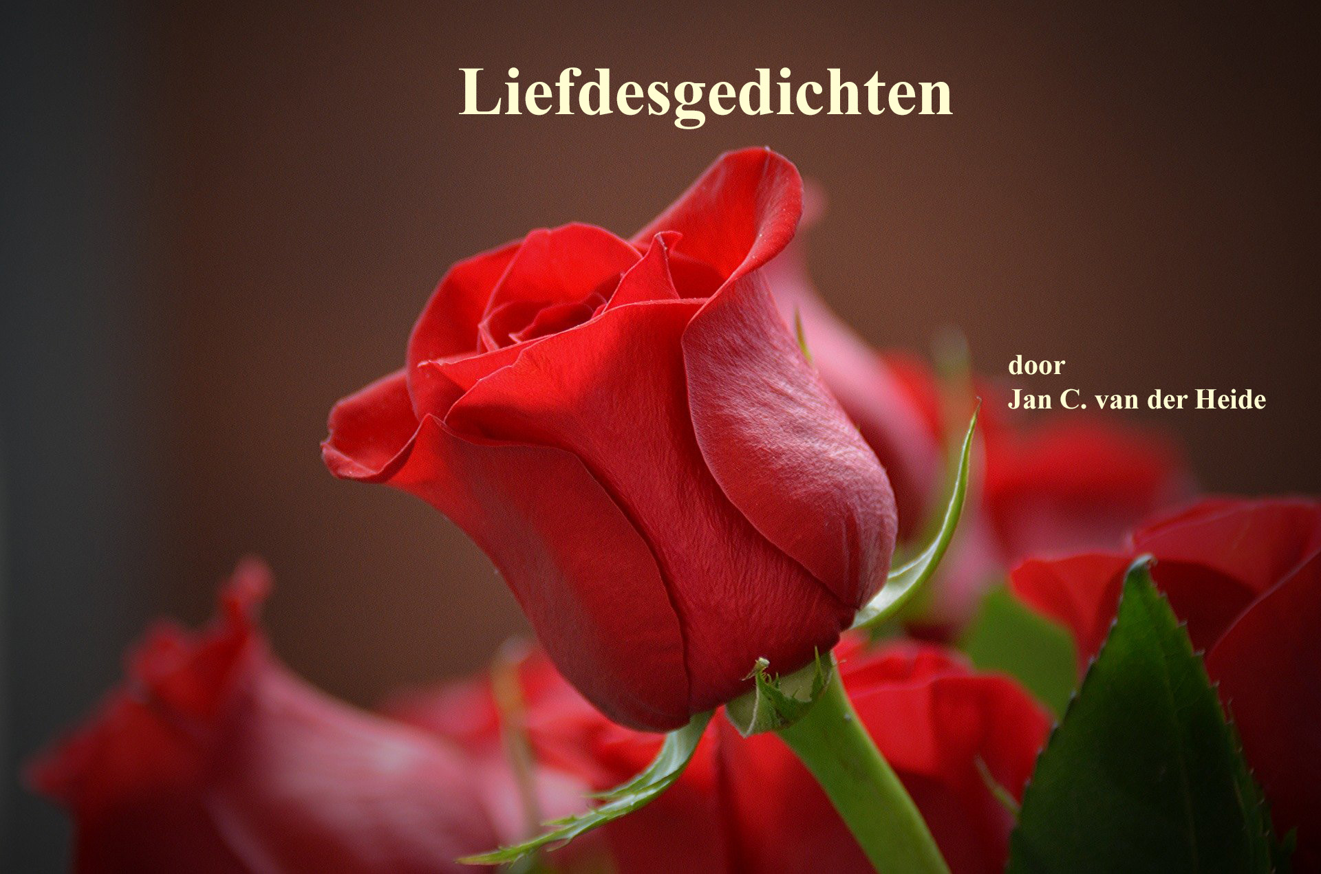 Liefdesgedichten - Jan C van der Heide